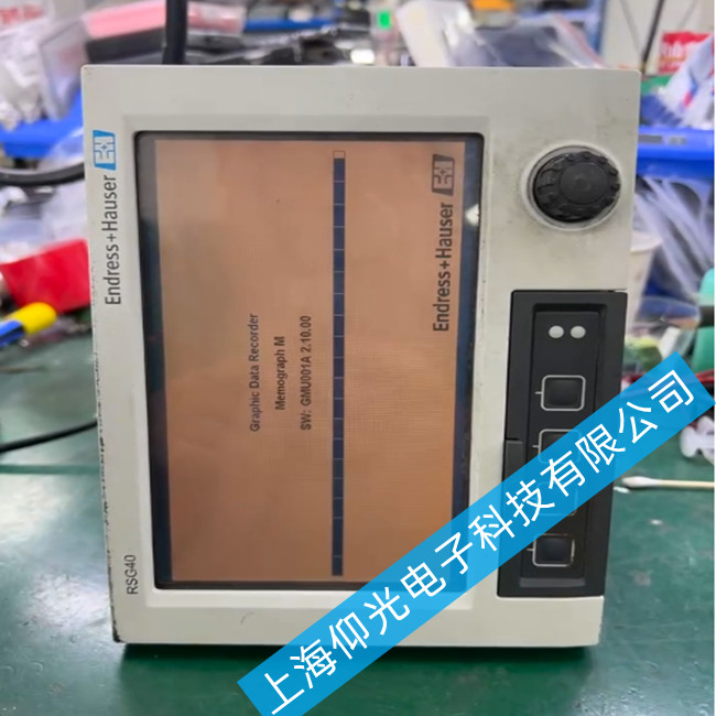 Endress+Hauser RSG35ͨ���͔�������x�S��