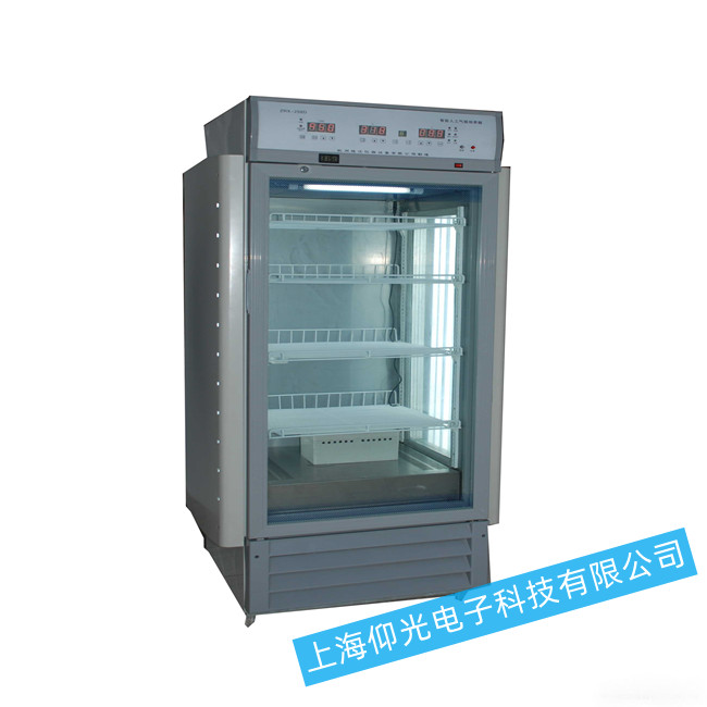 ���ܹ������B(y��ng)����F(xi��n)���}��ô�Ų��ޏͣ�